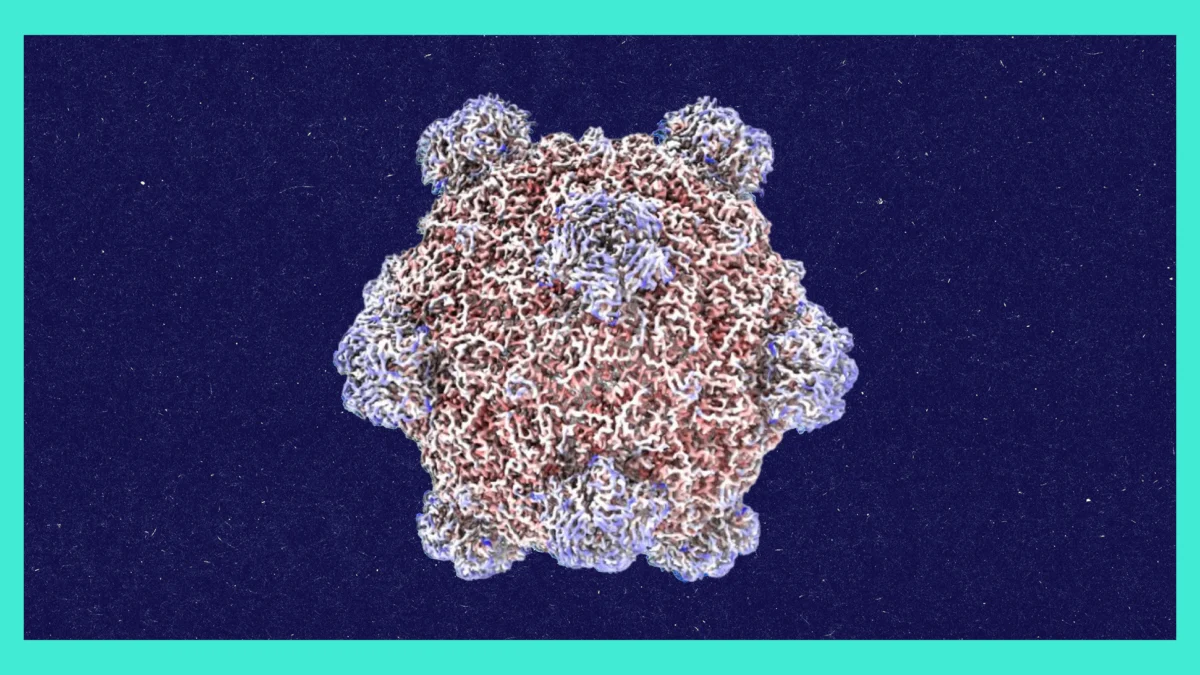 The Architect of Synthetic Pathogens: Inside Samuel King’s AI-Driven Revolution in Biology